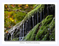 WWZ-Hintersee4.jpg