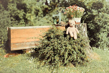 Stichin Teddy MSF_6000_stitch-2.jpg