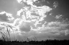 Himmel 20140601_1 SW.jpg