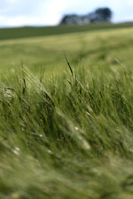 DSC_4589_DxO.jpg