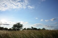 DSC_1521_1.jpg