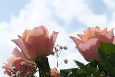 DSCF4248.jpg