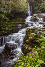 NZL-176.jpg NZL-176.jpg