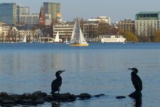 20130422-184743.JPG