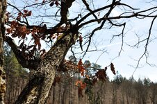 DSC_0304.JPG