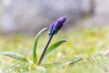 Bild1-241.jpg