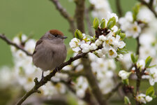 20130427-IMG_5541-b.jpg 20130427-IMG_5541-b.jpg