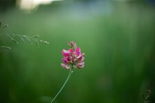IMG_1633.jpg