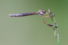 20140606-IMG_3163-b-2.jpg