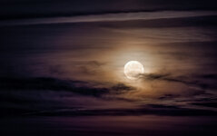Moonrise.jpg