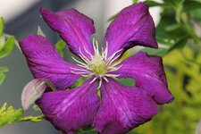 IMG_0613.JPG