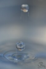 comp_DSC_0320.jpg