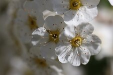 IMG_6398_2.jpg