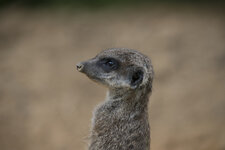 DSLR_KHA_1880-S420.JPG