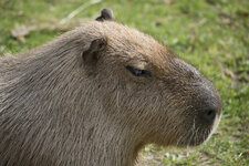 DSLR_KHA_1942-S500.JPG