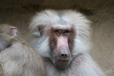 DSLR_KHA_1989-T500.JPG