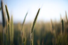 IMG_1857.jpg