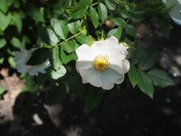 P5250029.jpg