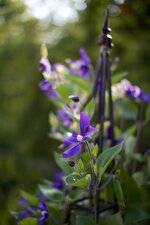 IMG_1845 (1).jpg