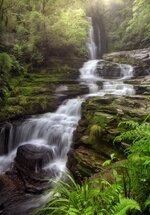 Holger NZL water1.jpg