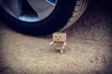Danbo1Forum.jpg