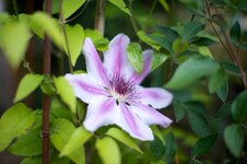 IMG_1384.jpg