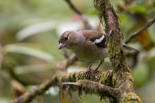 compIMG_1194.jpg