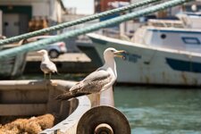 _DSC9289.jpg