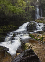 Holger NZL Catlins.jpg