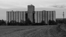 HL5_4981.jpg