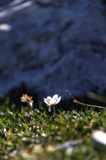 DSC_6047_DxO.jpg