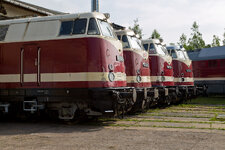 C84A1564-2.jpg