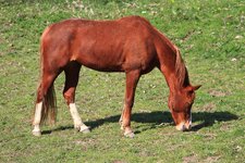 WEBIMG_6214.jpg