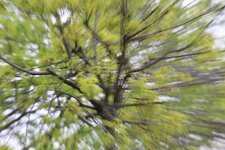 2013 04 18_1243.jpg