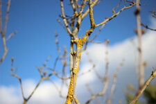 0035 IMG_8545 ed.JPG