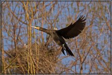 IMG_8890.jpg