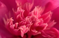 _DSC6088.9.jpg