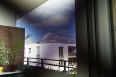 IMG_8266_small.jpg