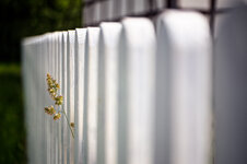 X-E1 2014.06.08 d.jpg