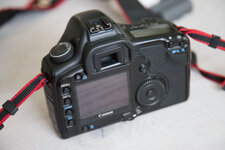 5d-2.jpg