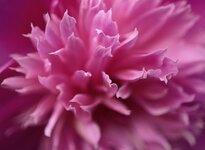 _DSC6144.14.jpg