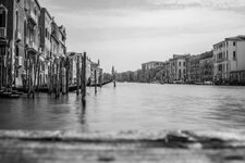 _DSC8672.jpg
