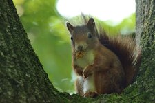 comp_DSC_3958.jpg