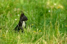 comp_DSC_4005.jpg