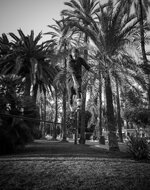 Jumping-Palma de Mallorca 2.jpg