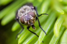 comp_EOS 5D Mark III-0067 - LR4.jpg