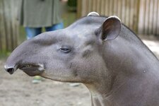 28.06.14 Zoo Berlin133.jpg