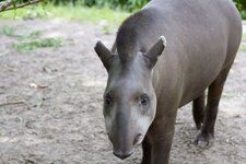 28.06.14 Zoo Berlin123.jpg