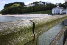 IMG_2672.jpg