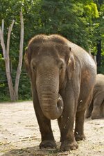 28.06.14 Zoo Berlin196.jpg